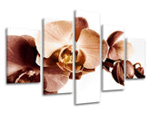 Ζωγραφική τοίχου 5 τμημάτων FLOWERS XOBKV110E50